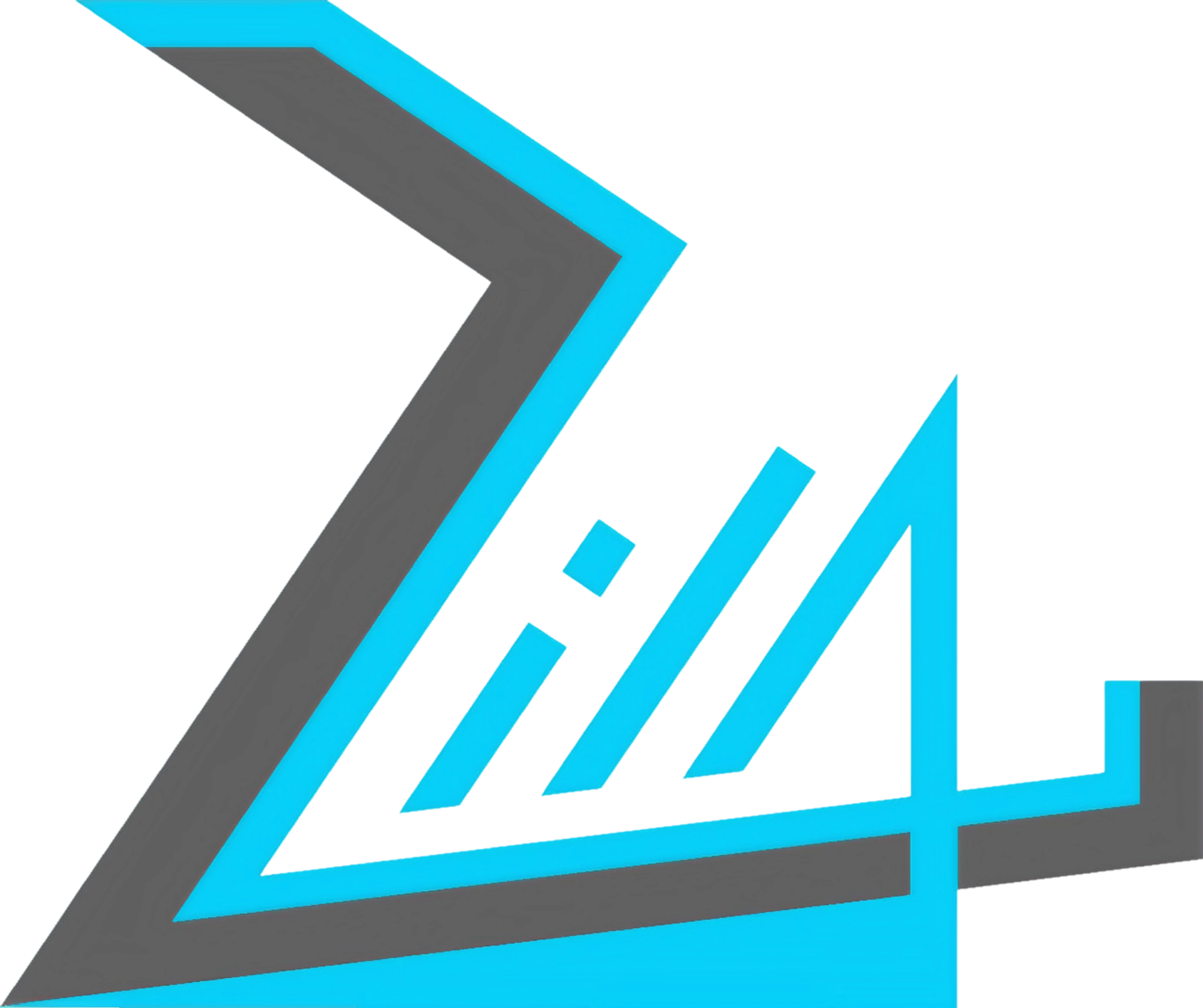 the official logo of zilaco